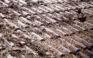 Fair Hill roof cleaning companies